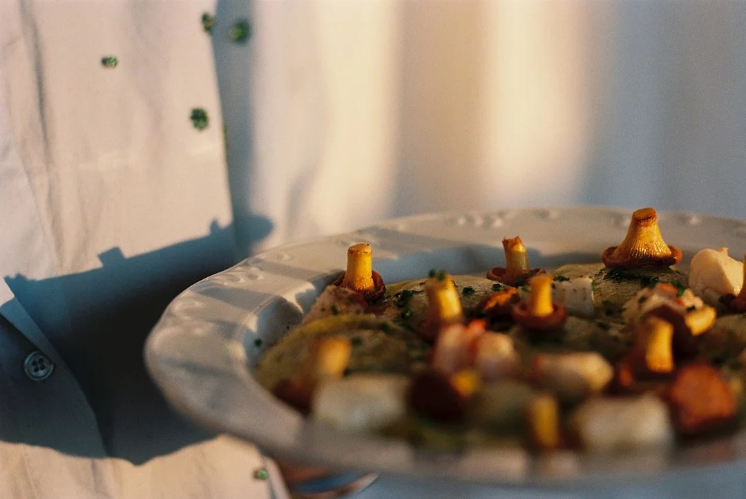 Hand holding a white plate with edible mushrooms on top, with a white cloth in the background.