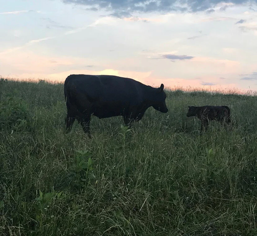 Tom Williamson - IMG_0142.JPG