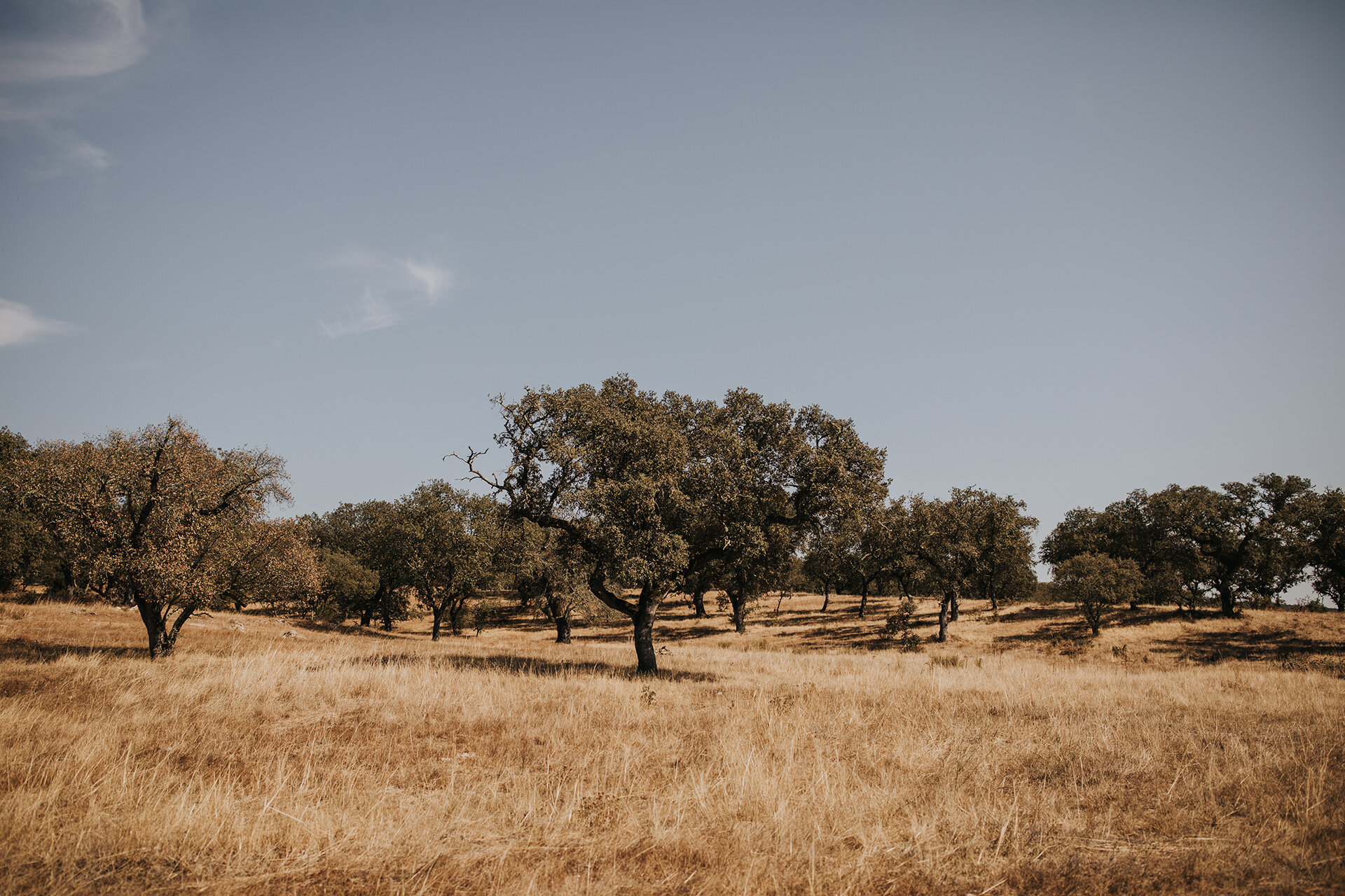 Outdoor Elopement Alentejo Casas Caiadas Wedding Planning 01.jpg