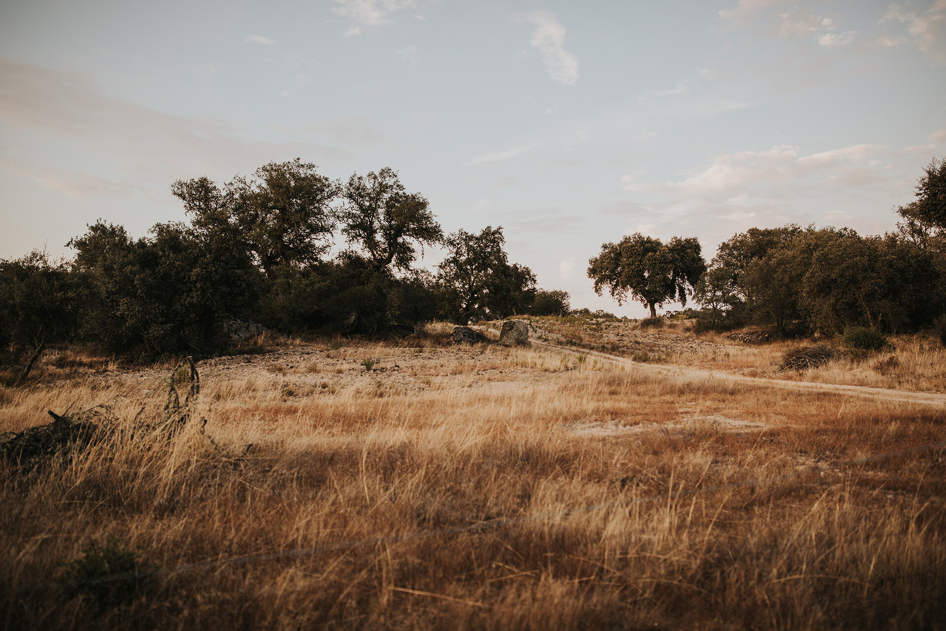 Outdoor Elopement Alentejo Casas Caiadas Wedding Planning 52.jpg