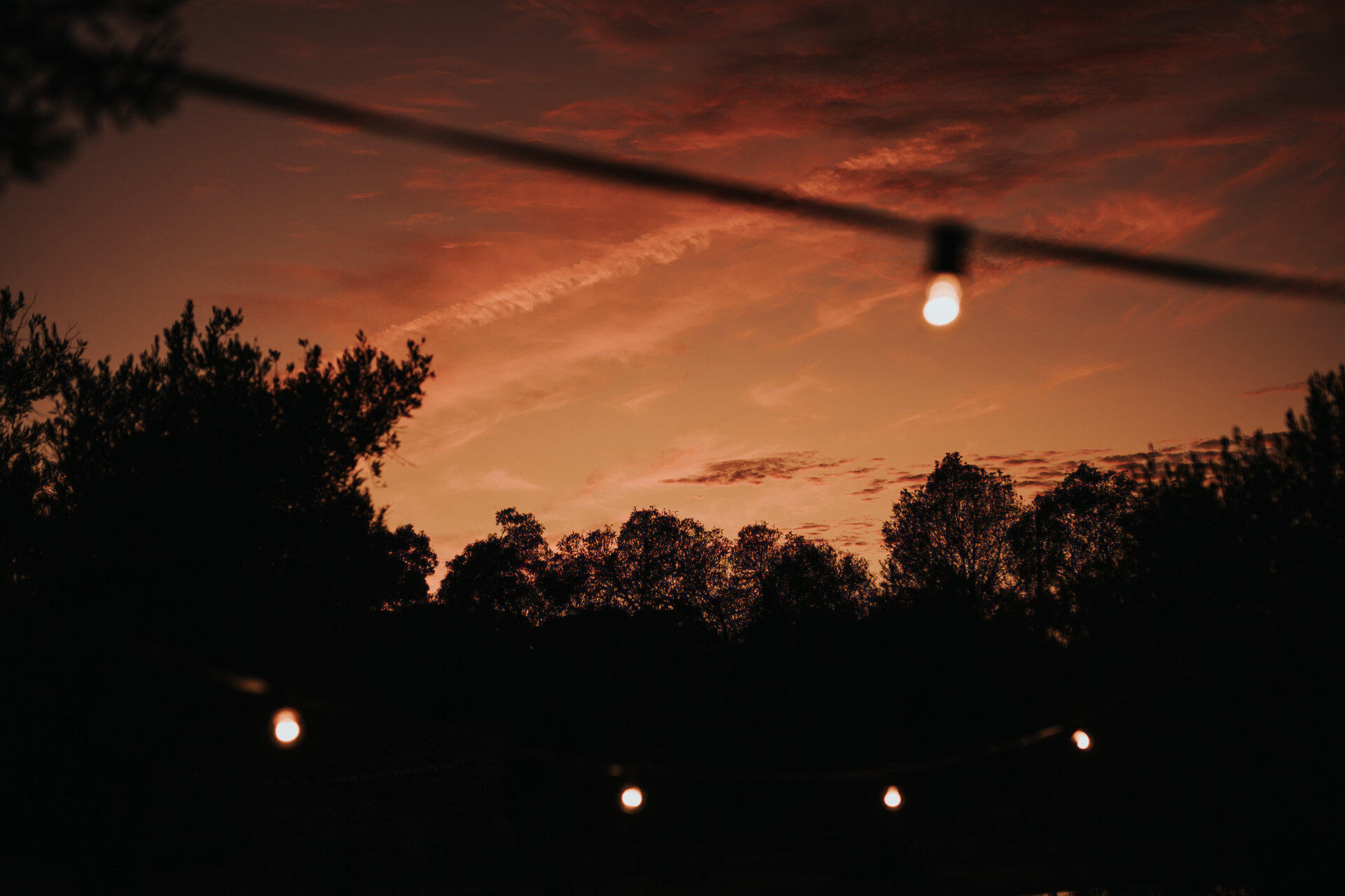 Outdoor Elopement Alentejo Casas Caiadas Wedding Planning 63.jpg