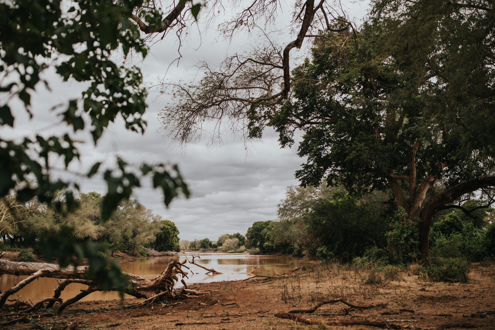 Safari Wedding Kruger National Park South Africa 07.jpg