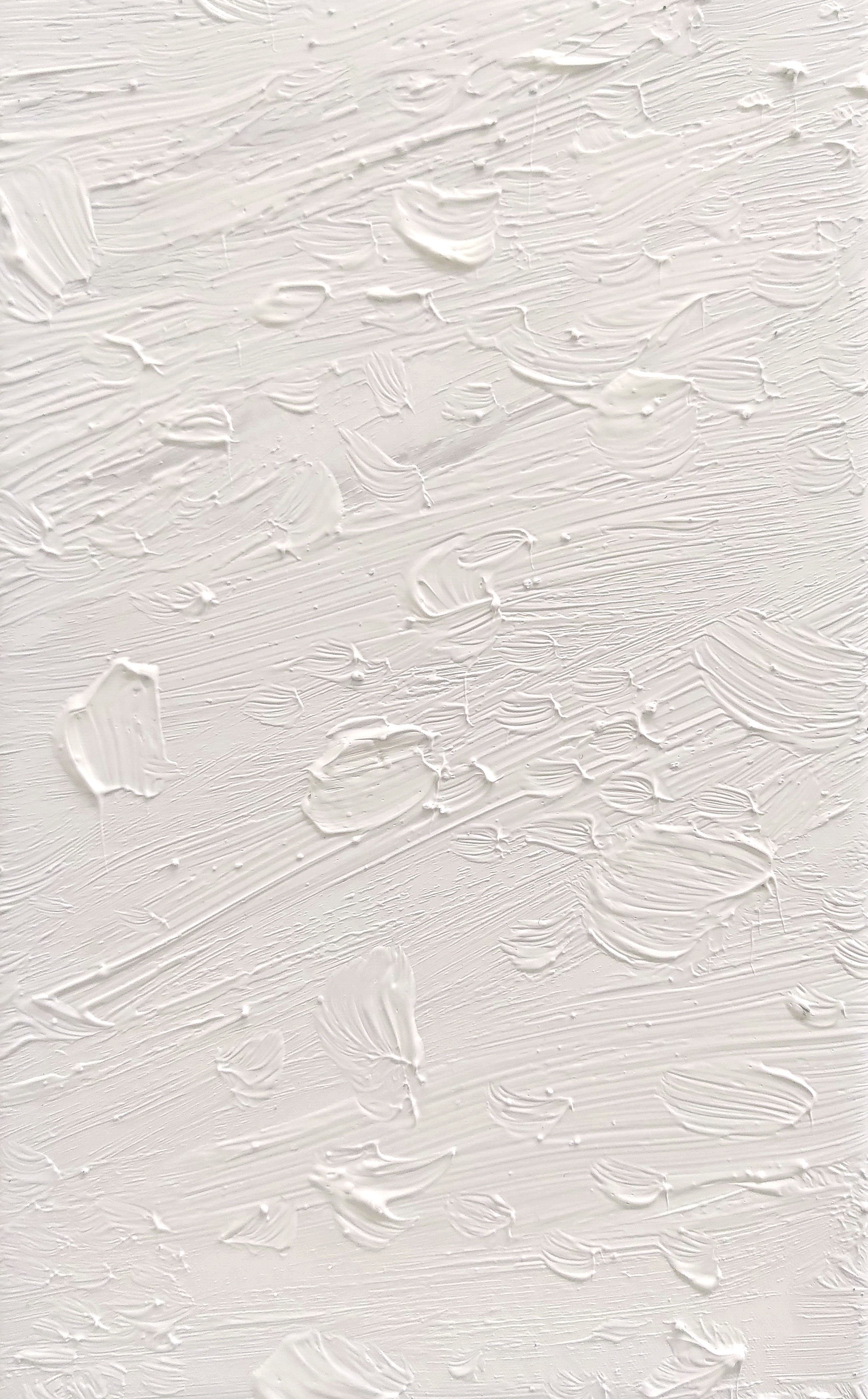 KODAMIUKAS XVII