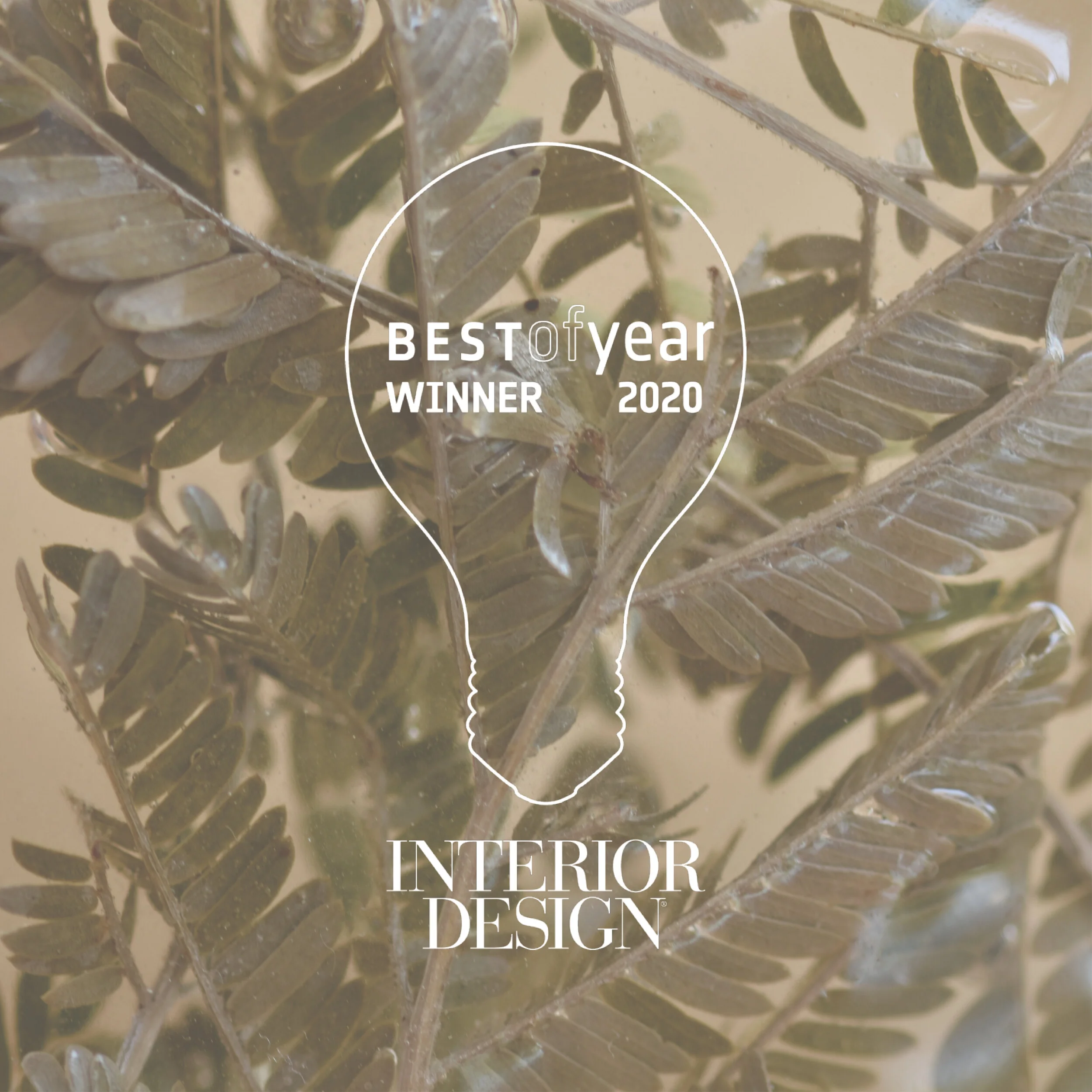 Dayih Images x best of year a.jpg