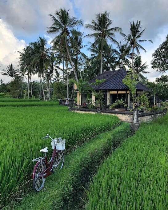 Eat, Pray, Love': discover the locations of the blockbuster movie with  Julia Roberts — Take Us To Bali