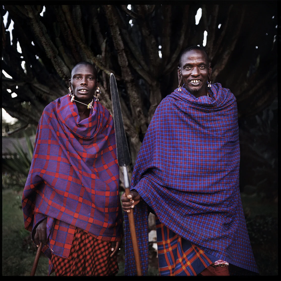 masai1 copy.jpg