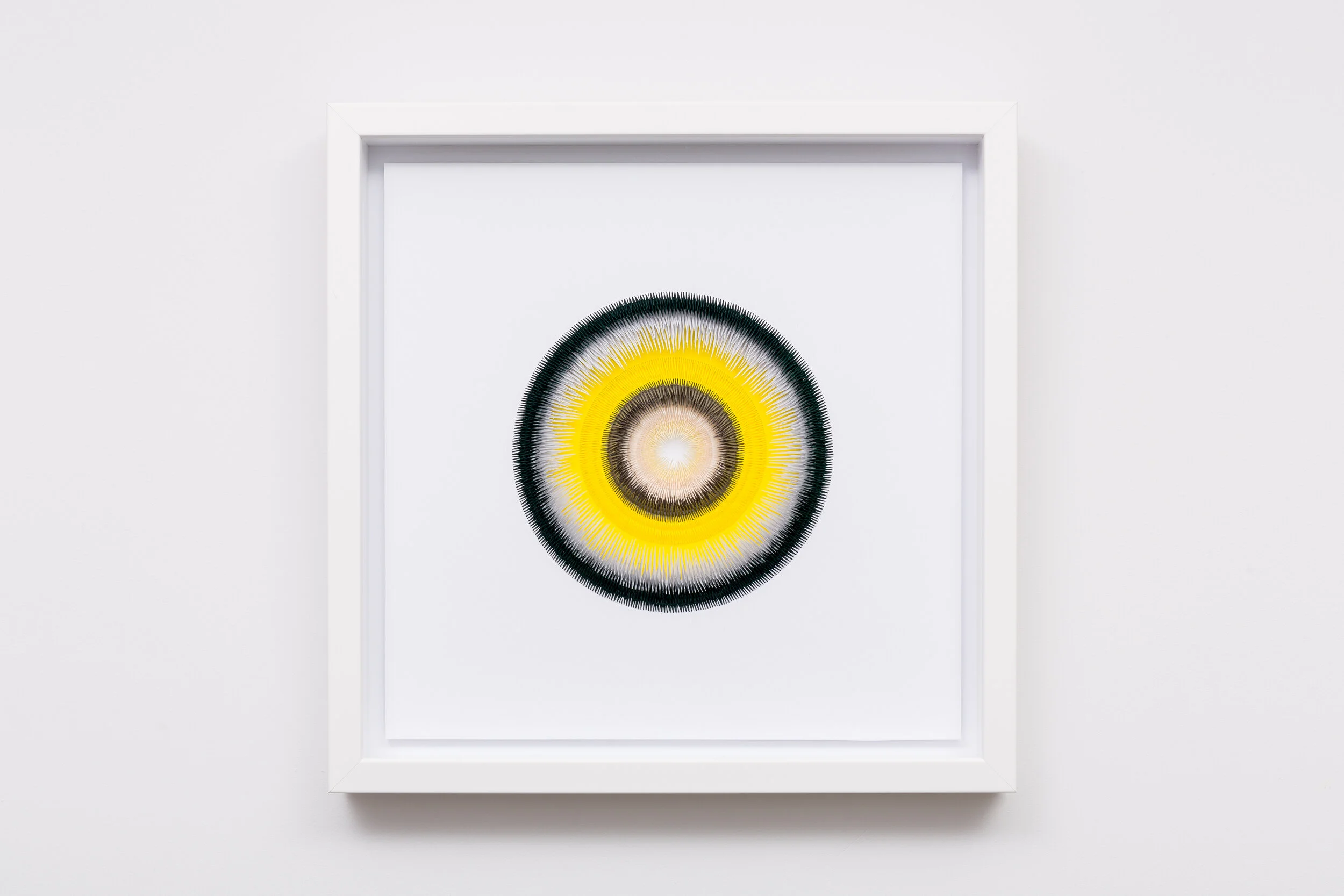 Pulsate , 2020 by Clare Pentlow
Handcut Paper