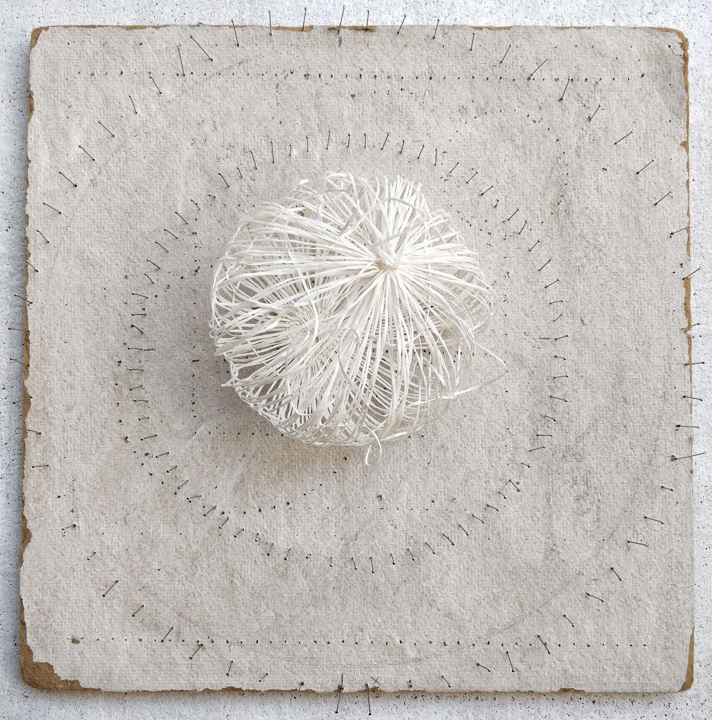 The Space Within, 2020, paper, board, pins..jpeg