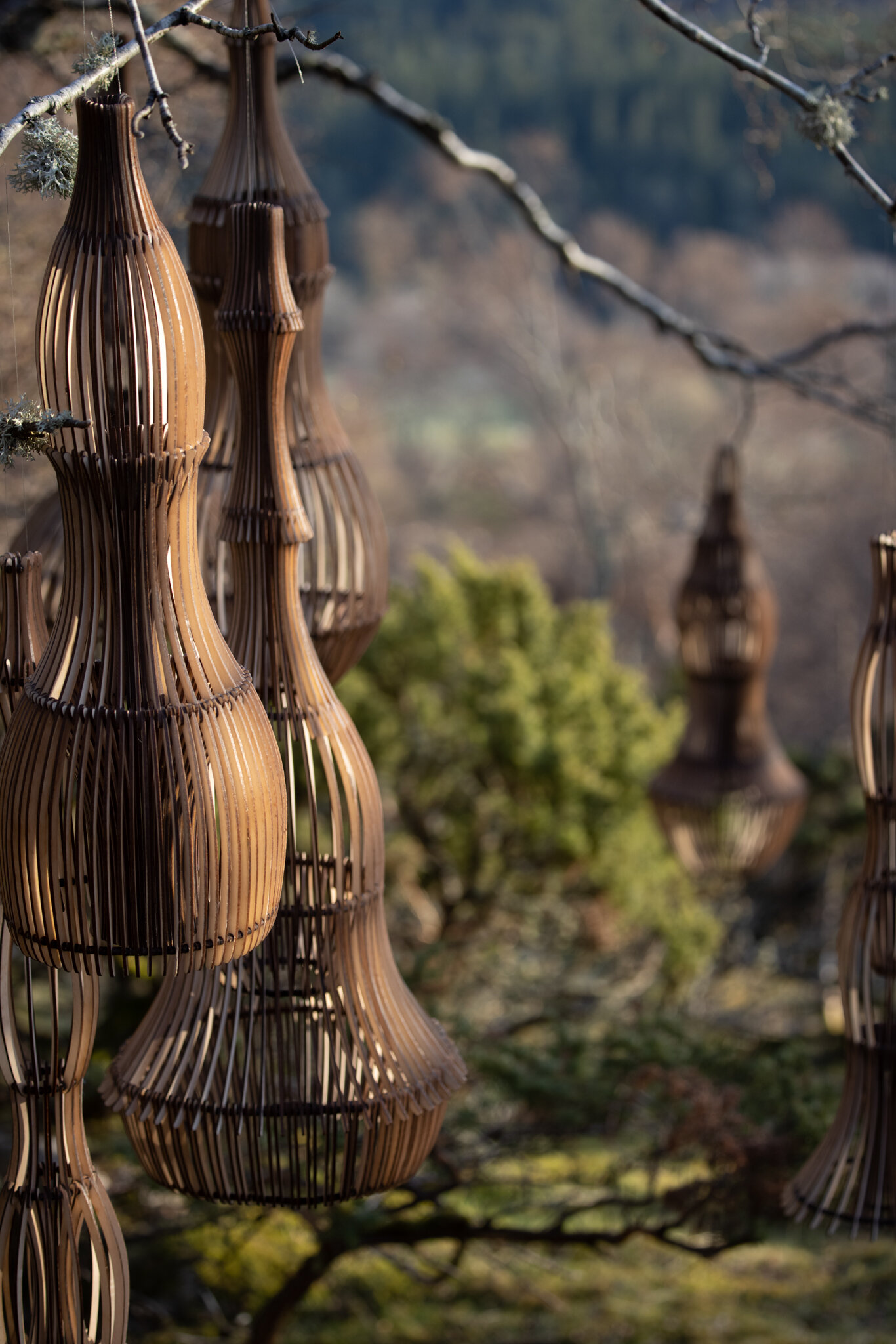 Ruup & Form : Quiet Garden 11.jpg