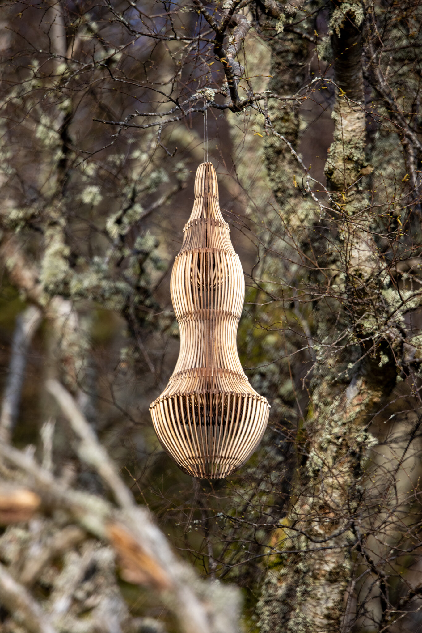 Ruup & Form : Quiet Garden 4.jpg