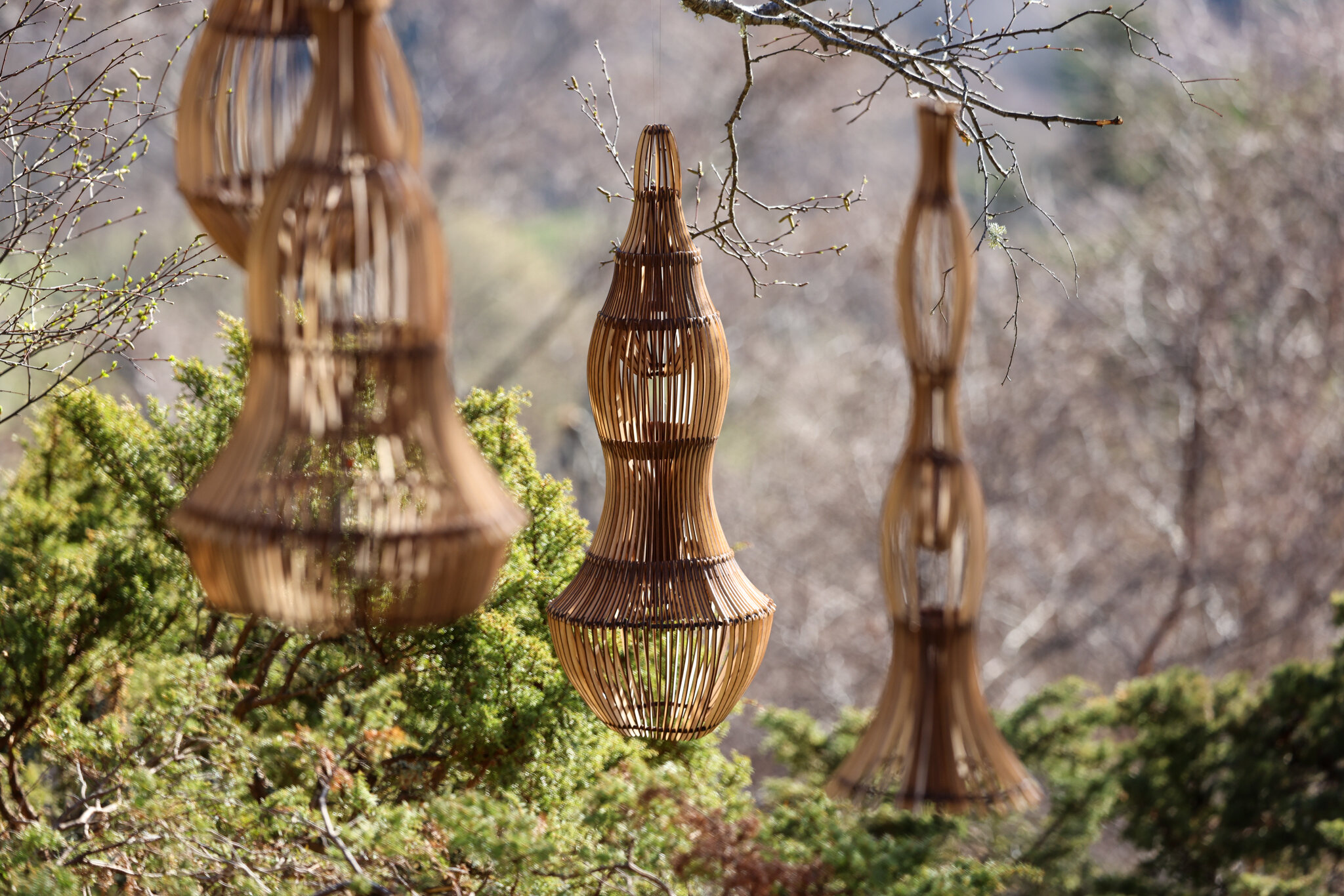 Ruup & Form : Quiet Garden 18.jpg