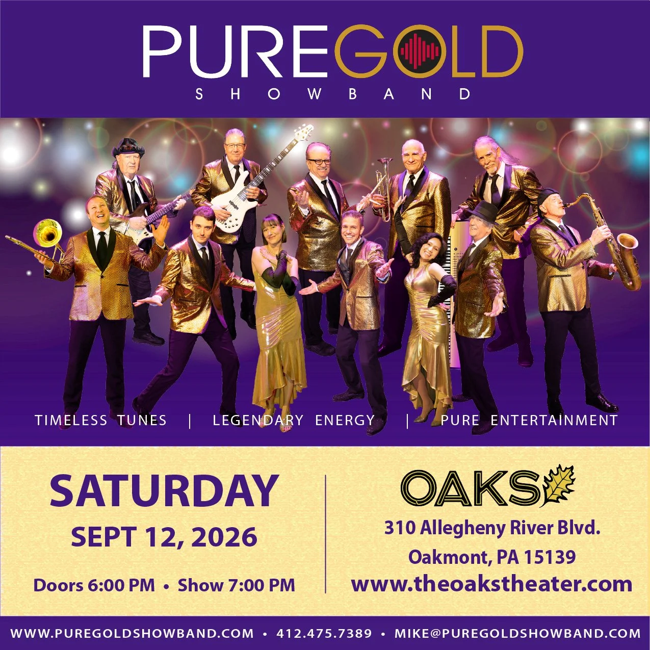 Pure Gold Showband