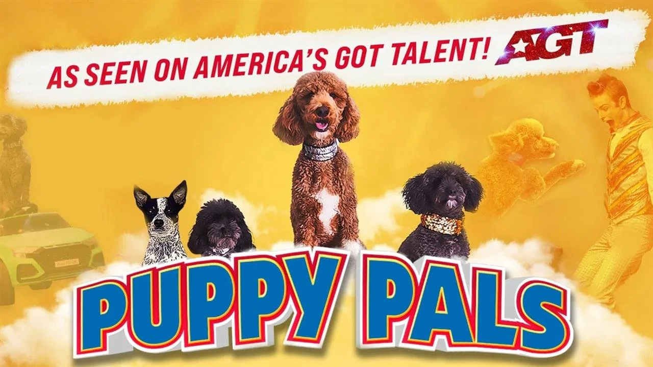 Puppy Pals LIVE