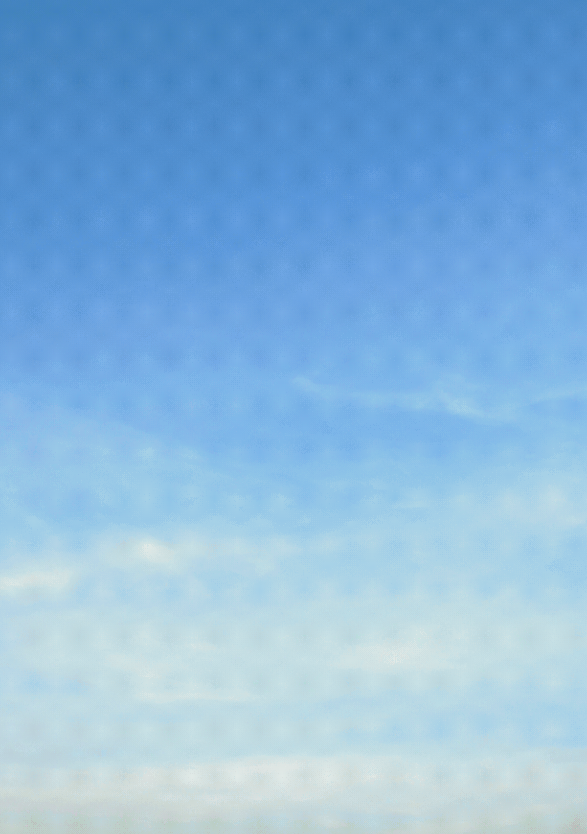 IMG_4396.GIF