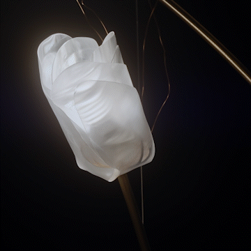 SLAMP