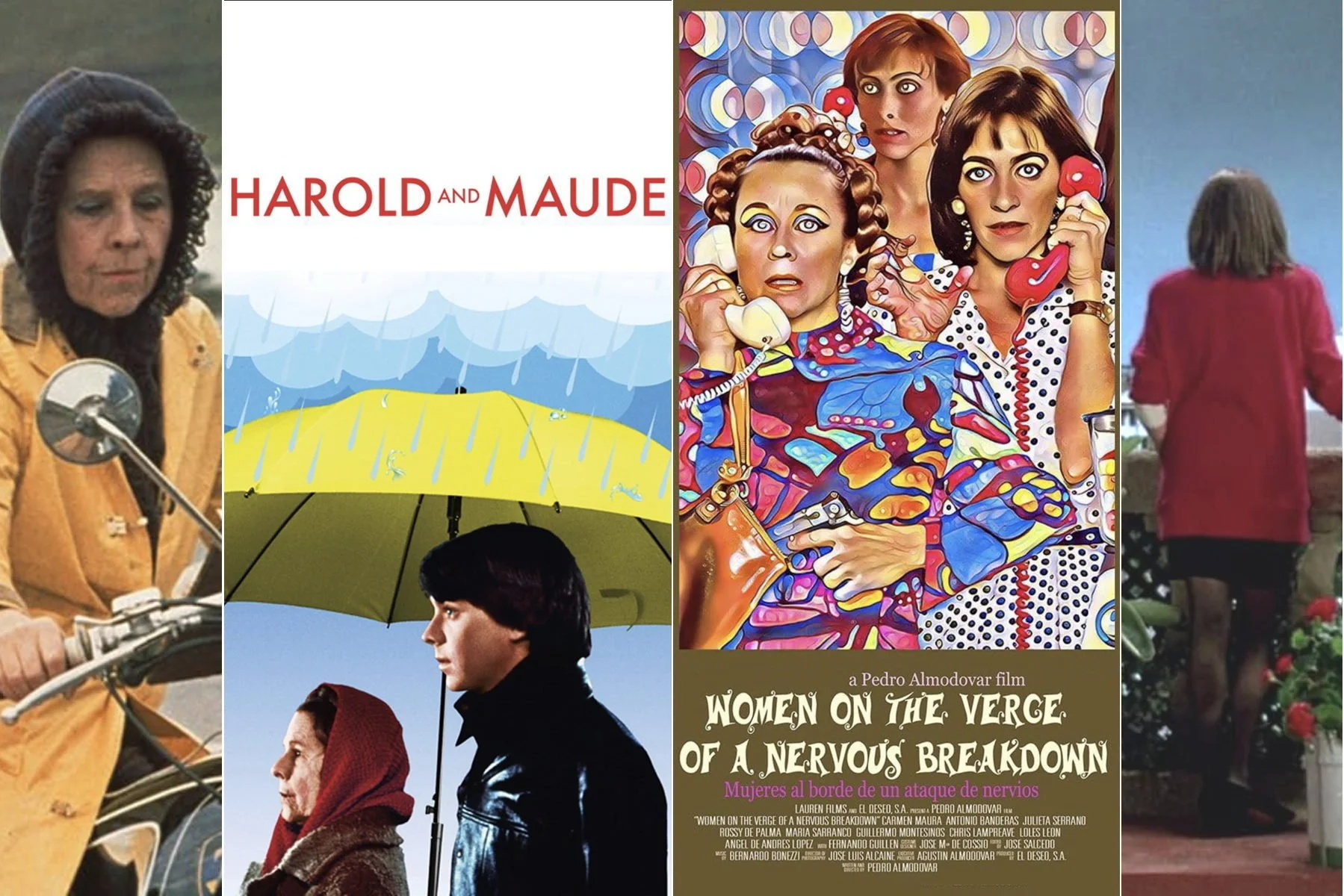 Movie Chat Series (on Zoom)  