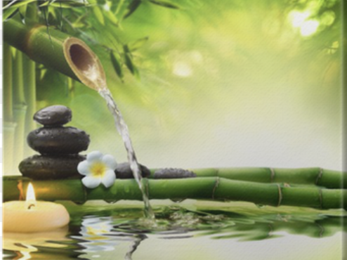 Spring into Feng Shui