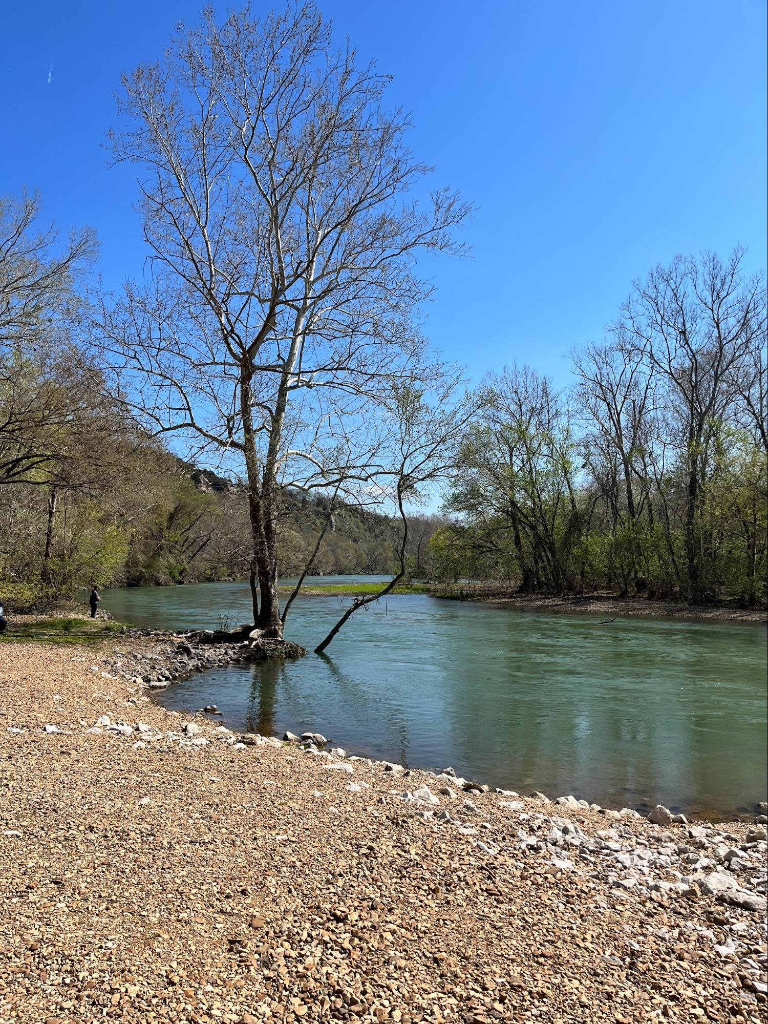 Collins’ Zoology releases trout!