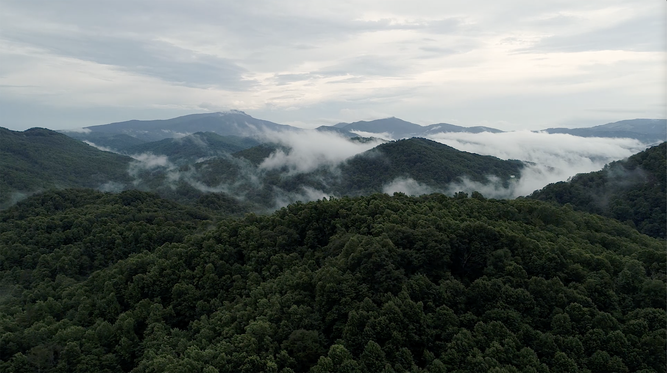 Screen Shot 2022-07-11 at 3.11.51 PM.png