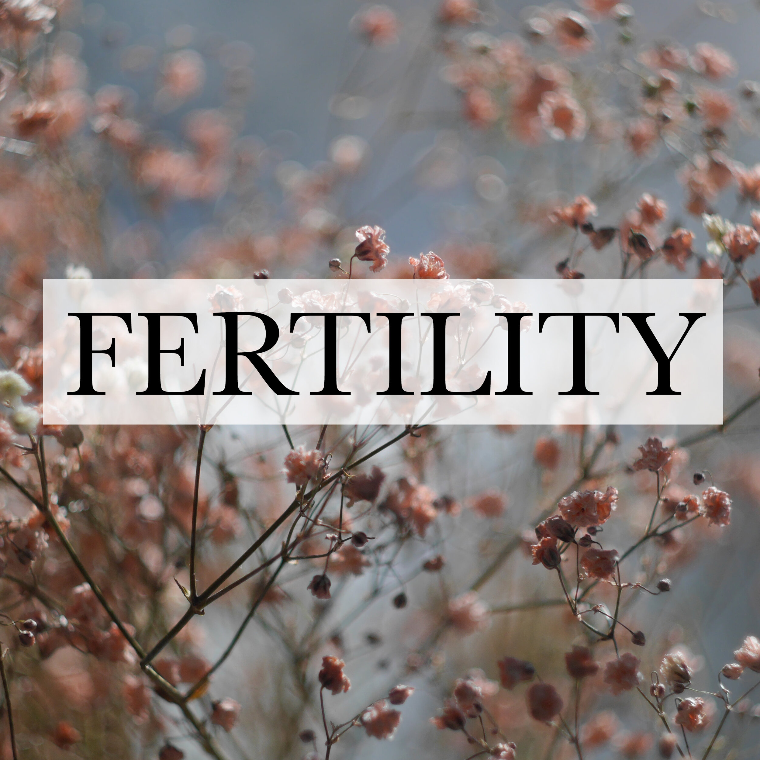 fertility copy.jpg
