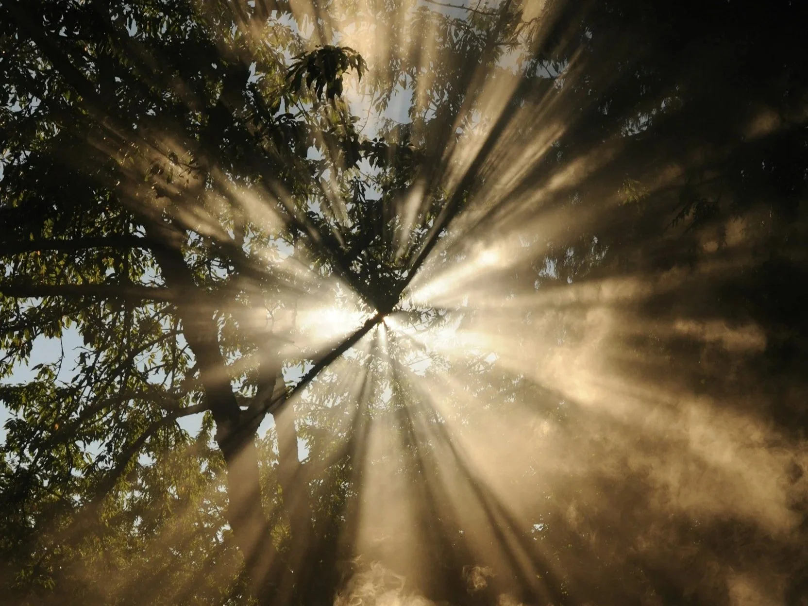 What is Integrative Psychotherapy