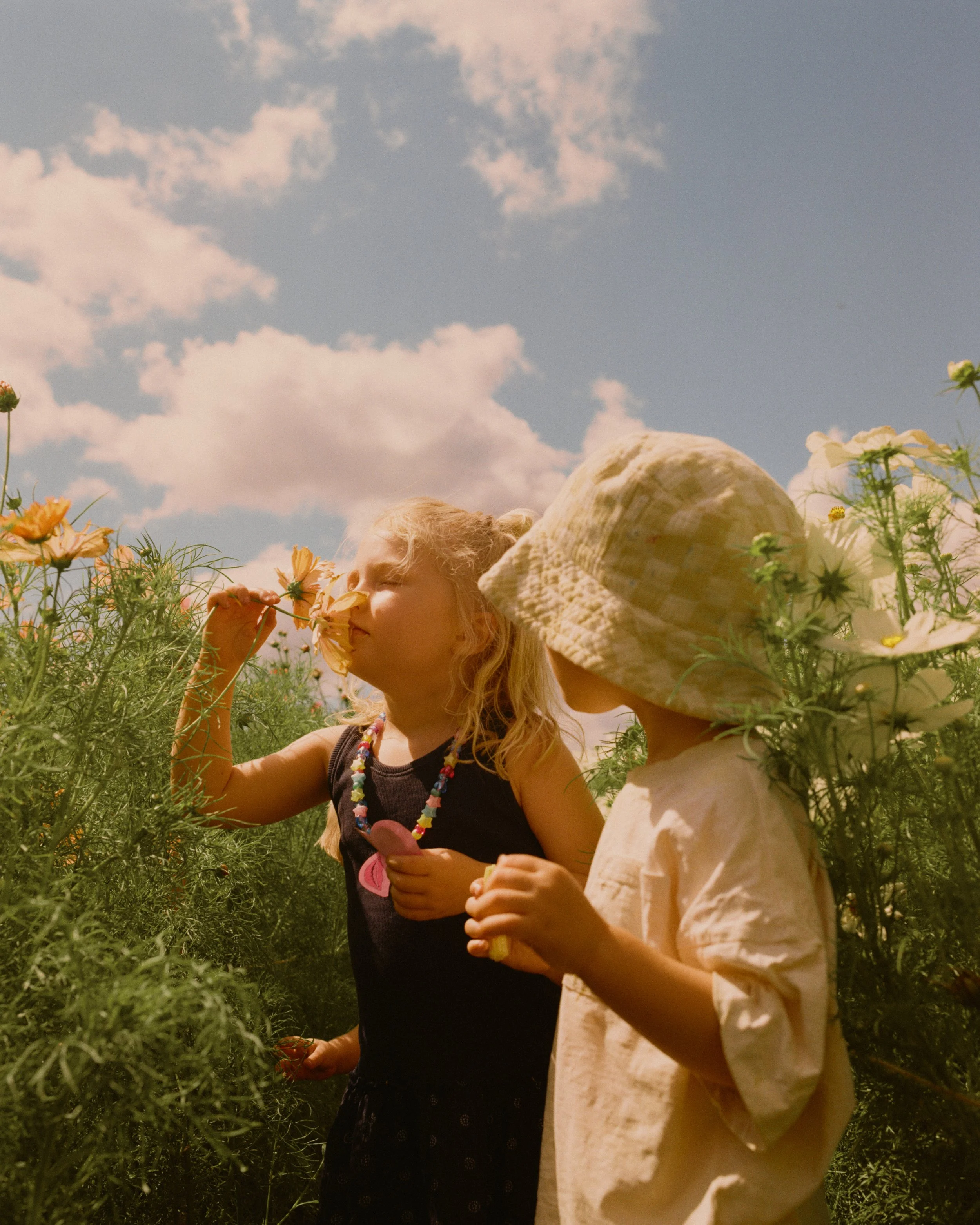 FLOWER_FARM_IMKE_VELVET_2026 11.jpg