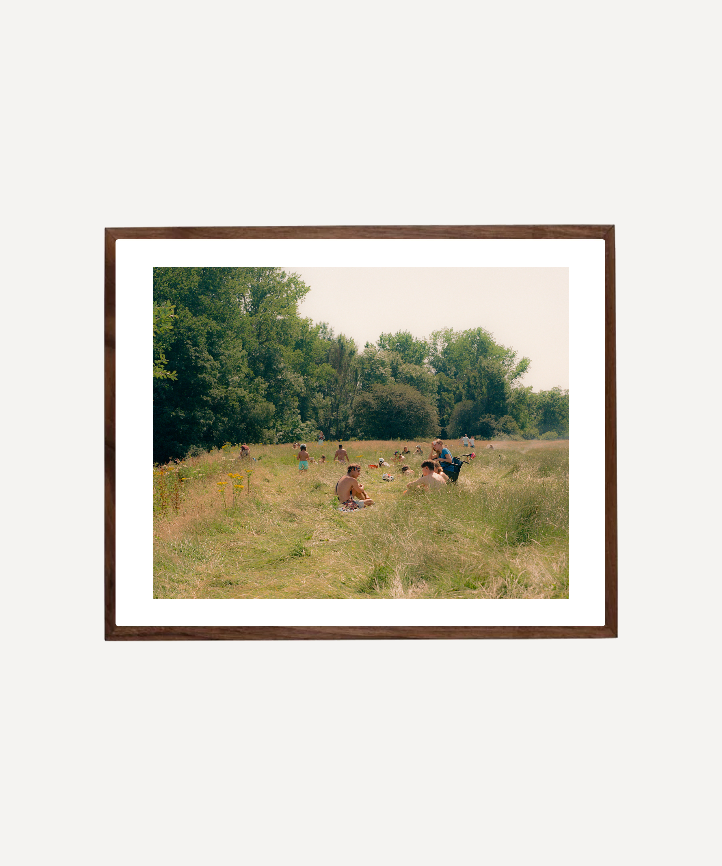 GLASSETTE_SPRING_RLD-2_HEATWAVE MEADOW_FRAME.png