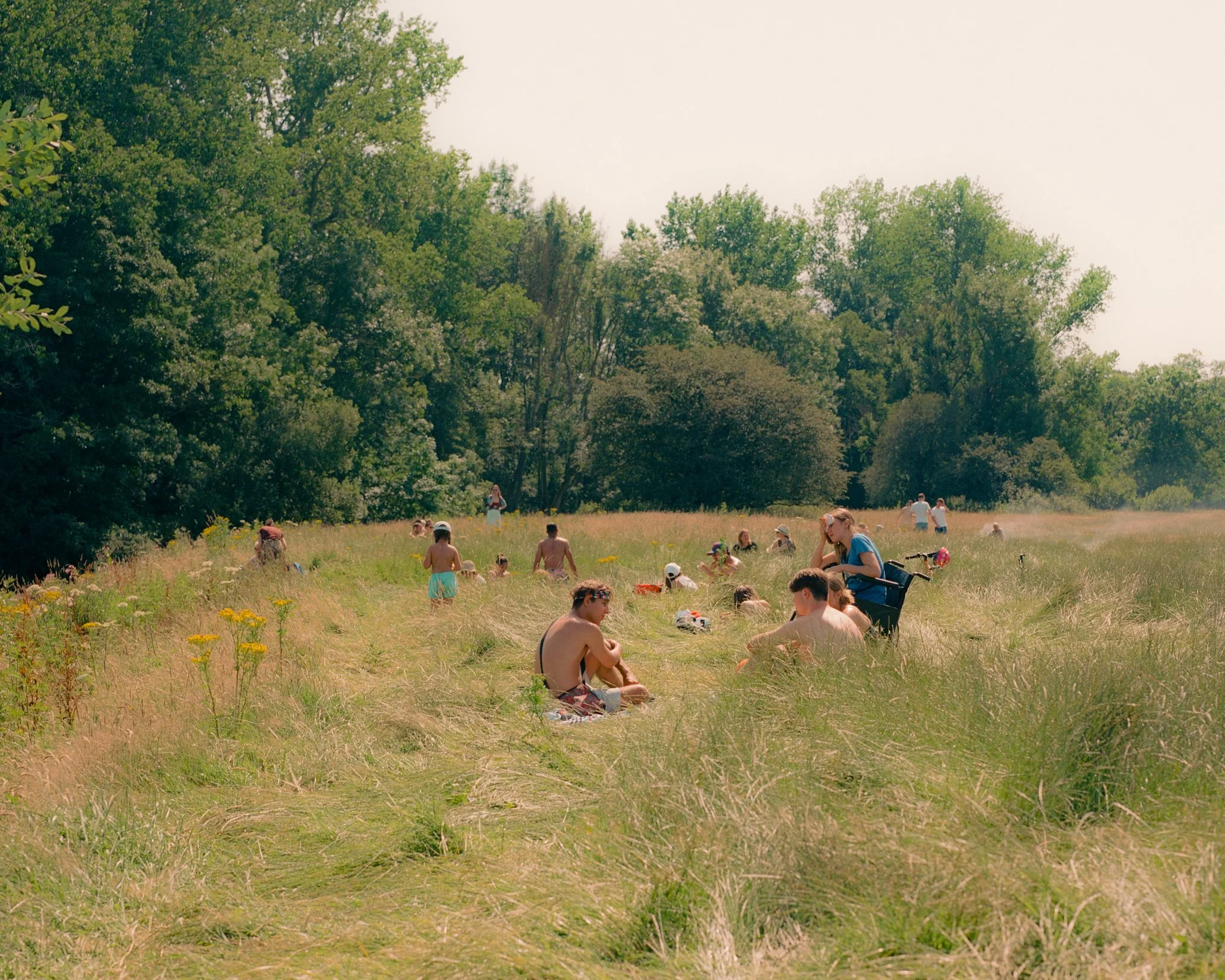 GLASSETTE_SPRING_RLD-2_HEATWAVE MEADOW_SMALL.jpg