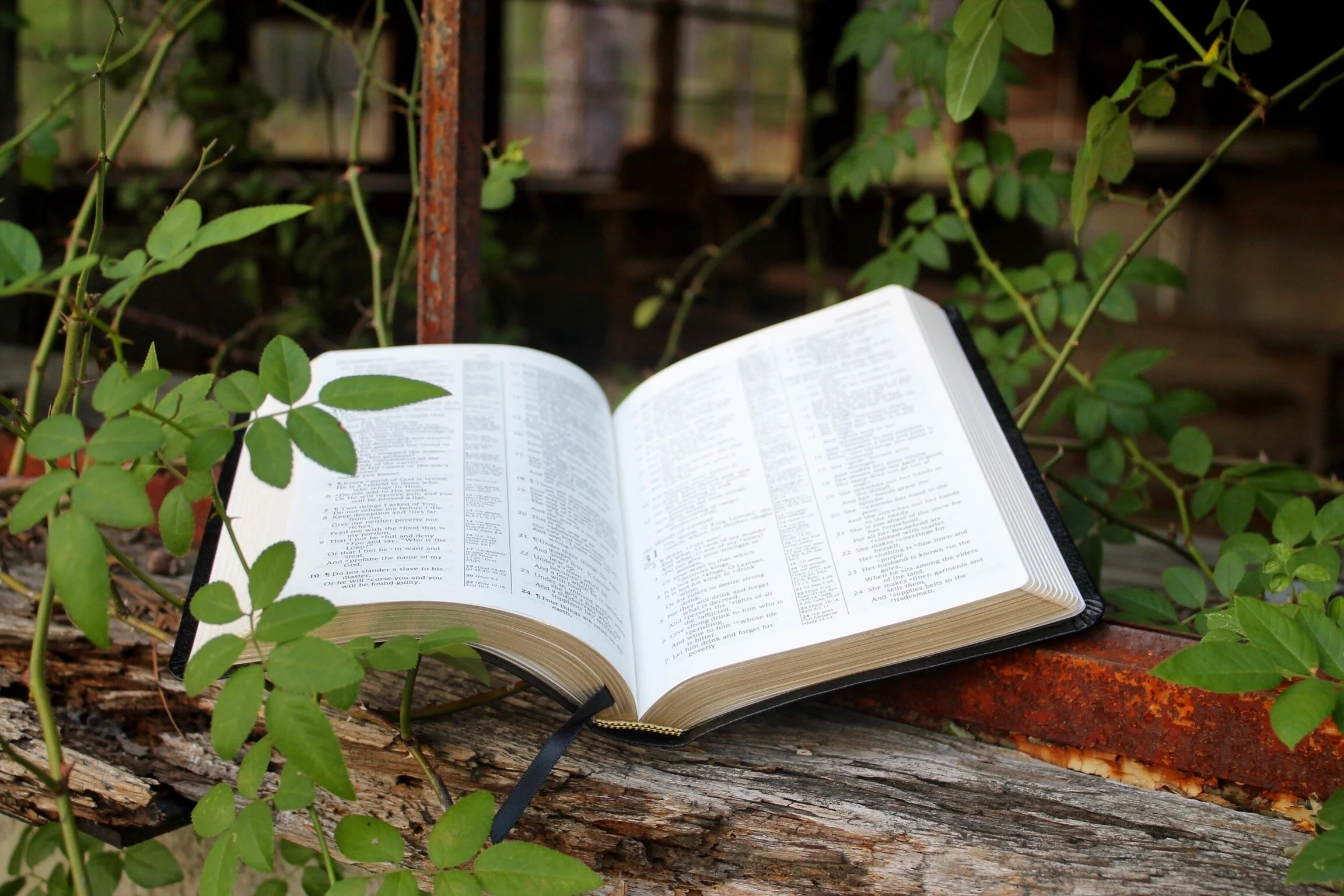 Prayer for the Reader