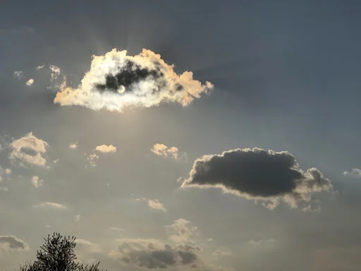 Finding God’s Provision in Panic