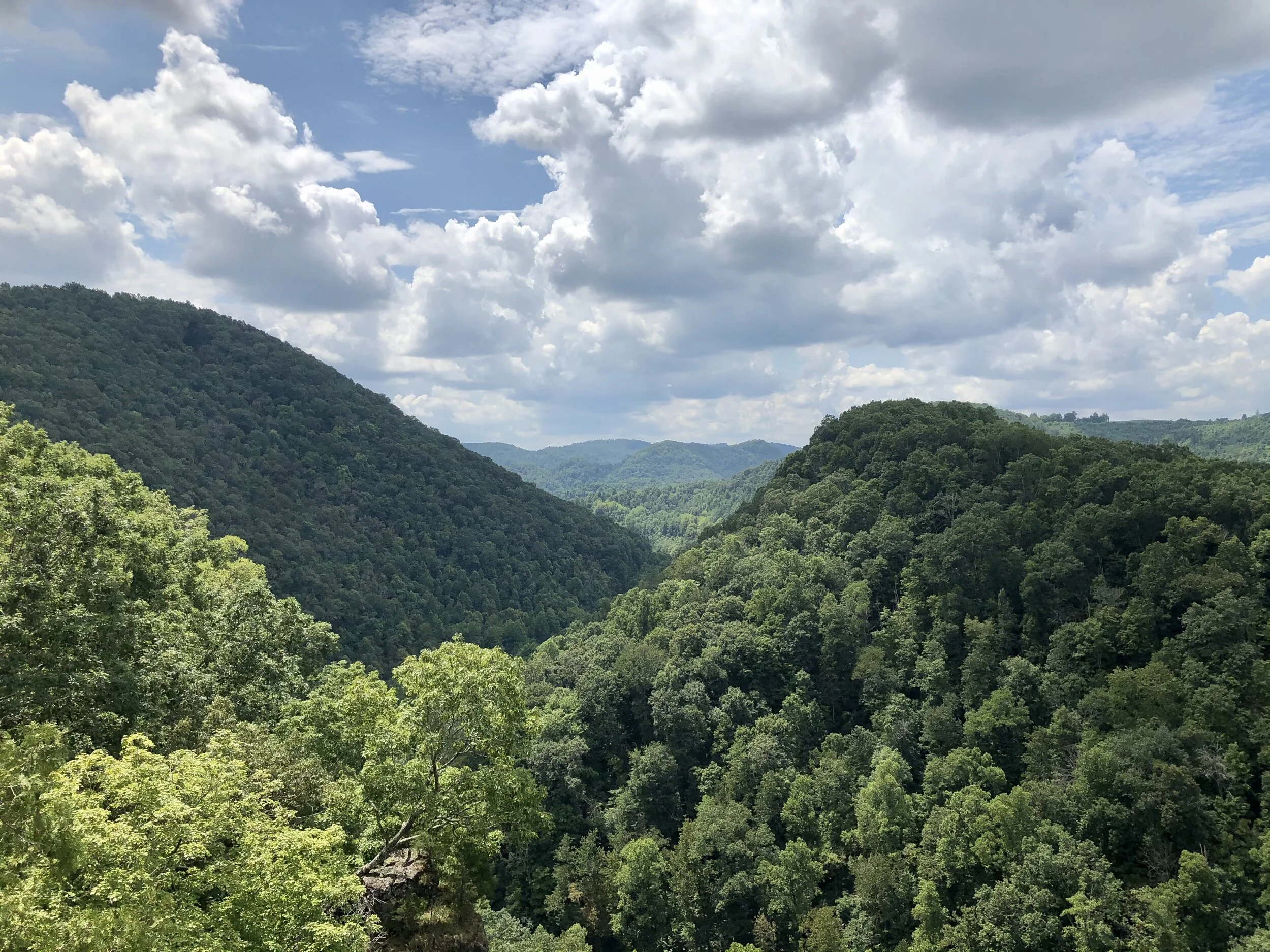 Finding Provision in Praise