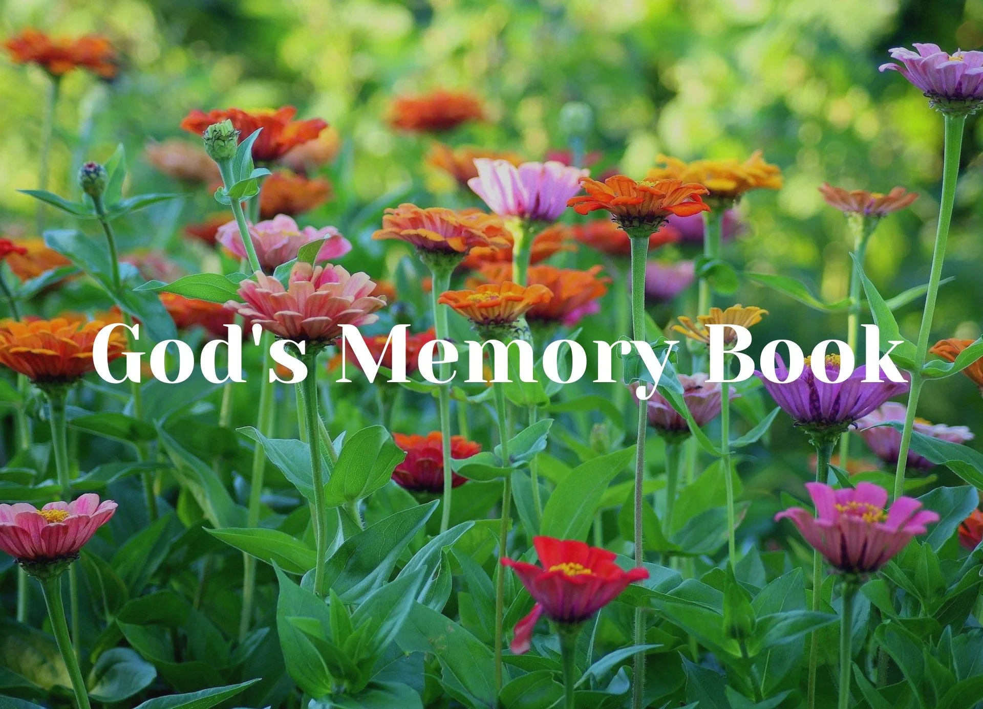 God's Memory Book