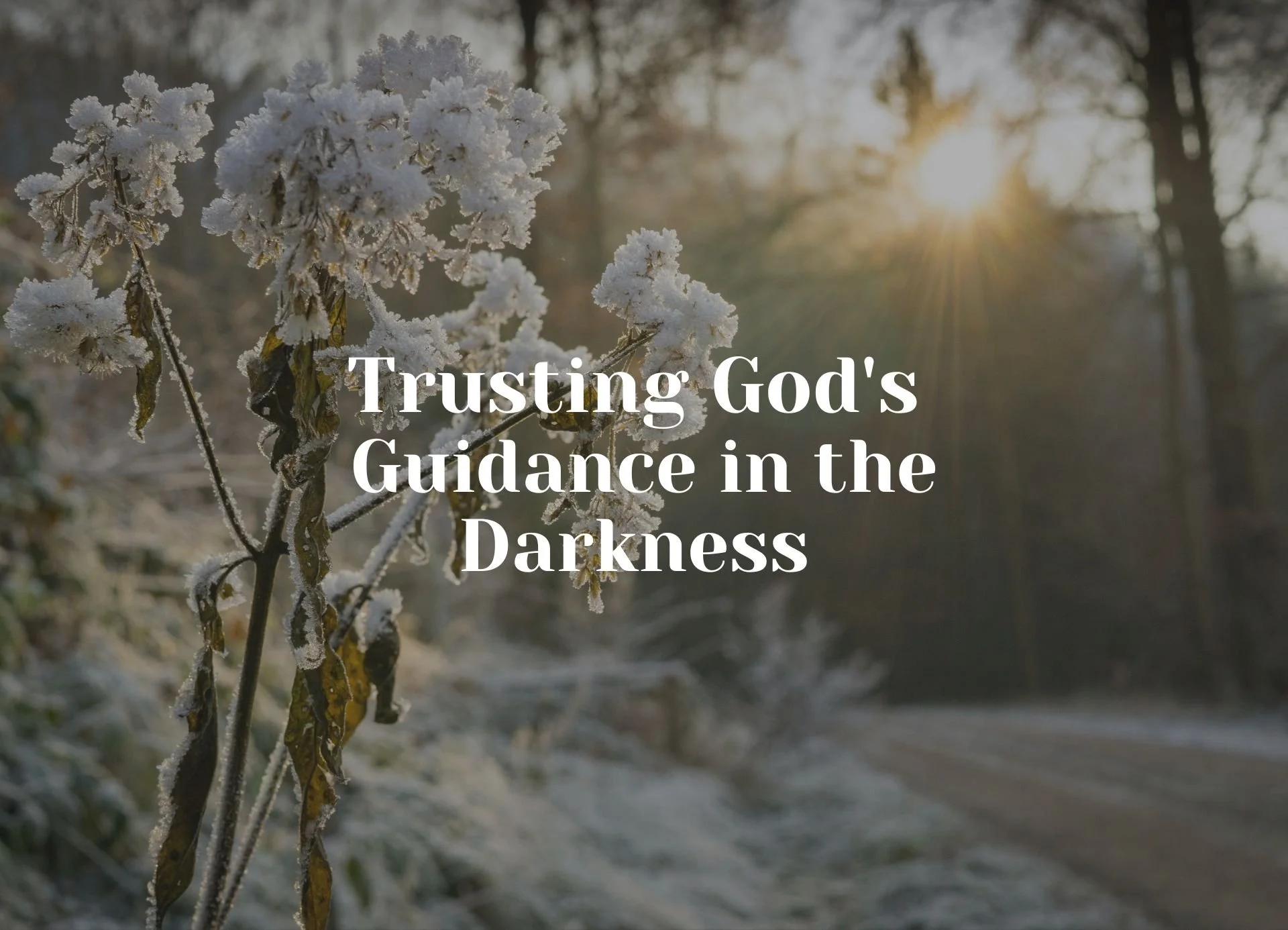 Trusting God's Guidance in the Darkness