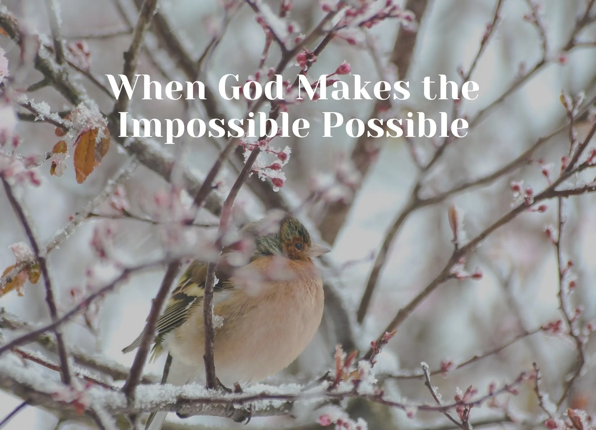 When God Makes the Impossible Possible