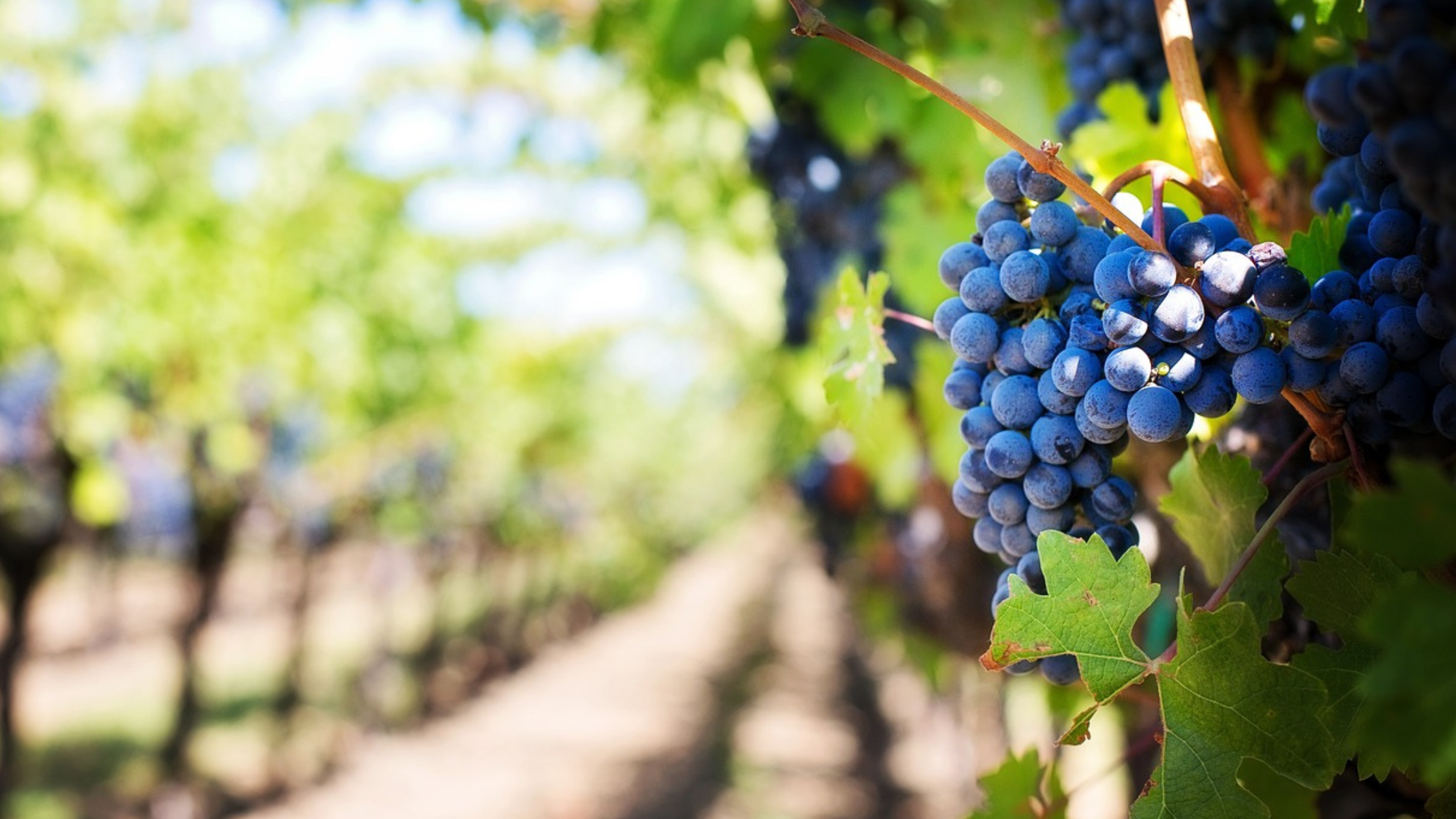 When You Don't Know How God Will Provide: Biblical Hope for Uncertain Times