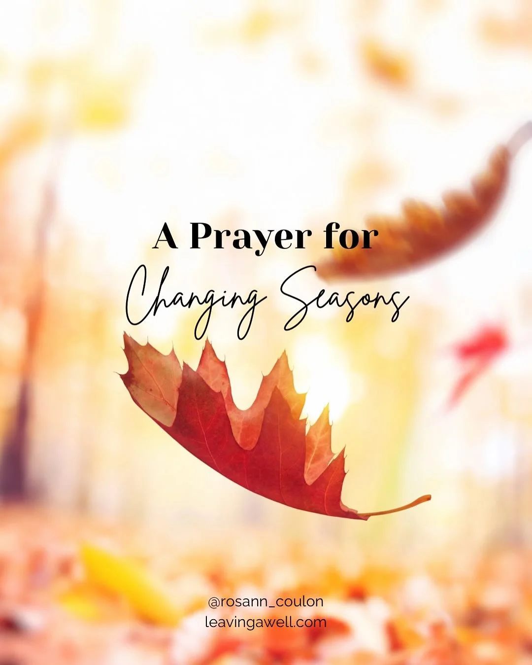 Seasons are always changing, but God remains faithful, steadfast, and strong. His love never waivers and He never forgets His children.✨
Whatever season you find yourself in today, remember that the Lord’s presence is with you. He will never l
