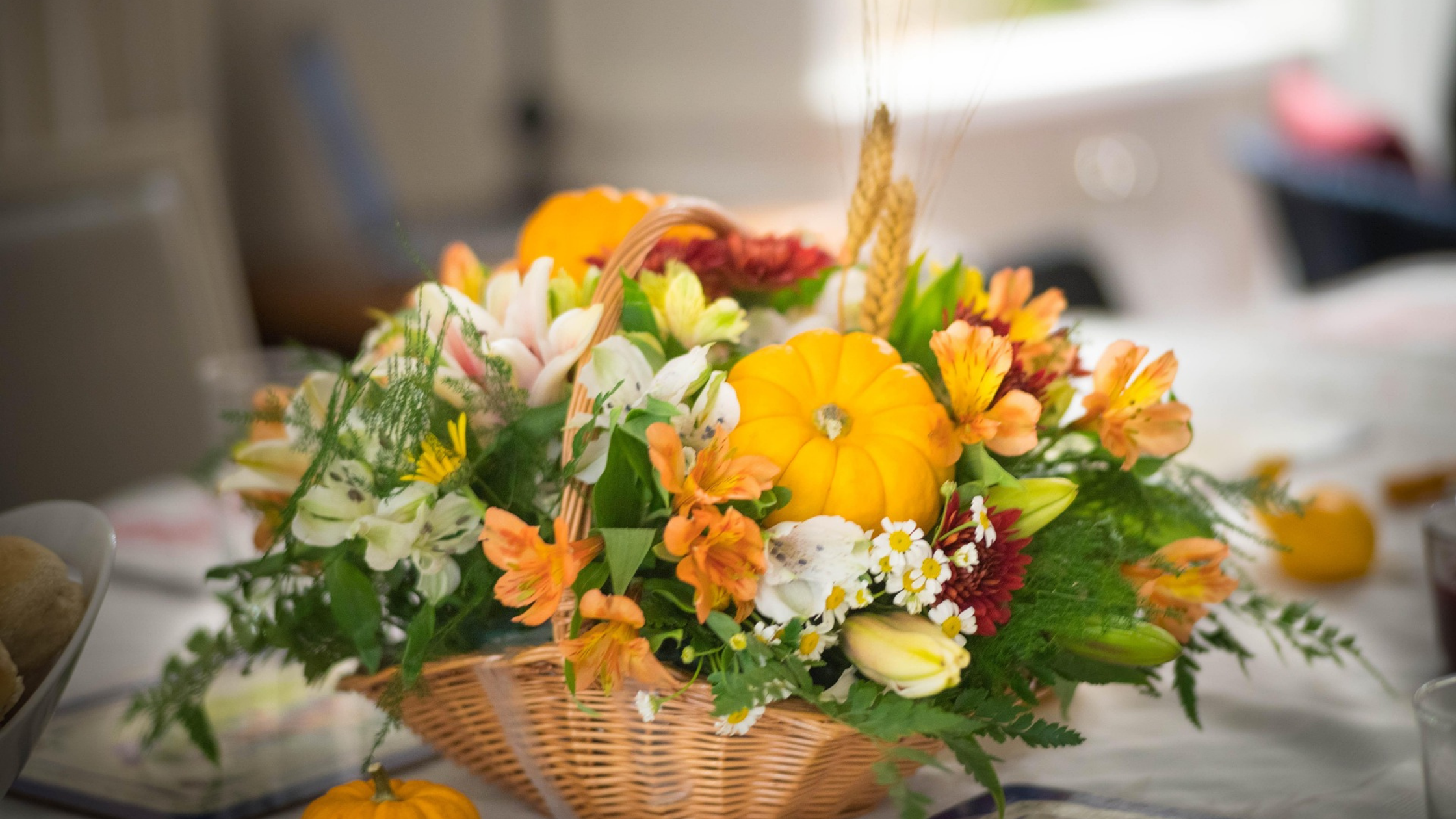 Finding Gratitude When the World Let’s You Down: 4 Lessons from Psalm 73