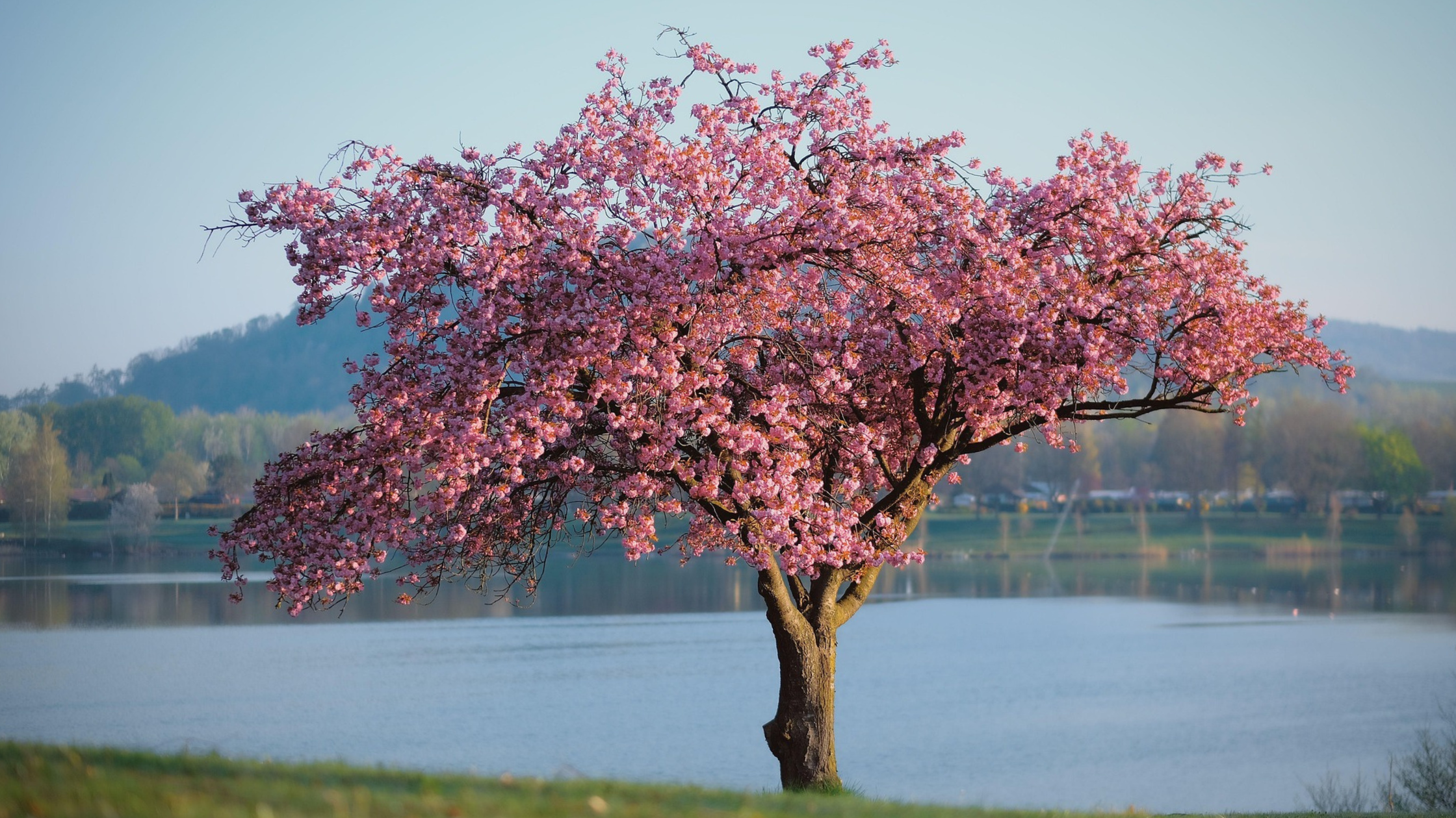 Your Life is God's Masterpiece: He Creates Beauty From Every Circumstance