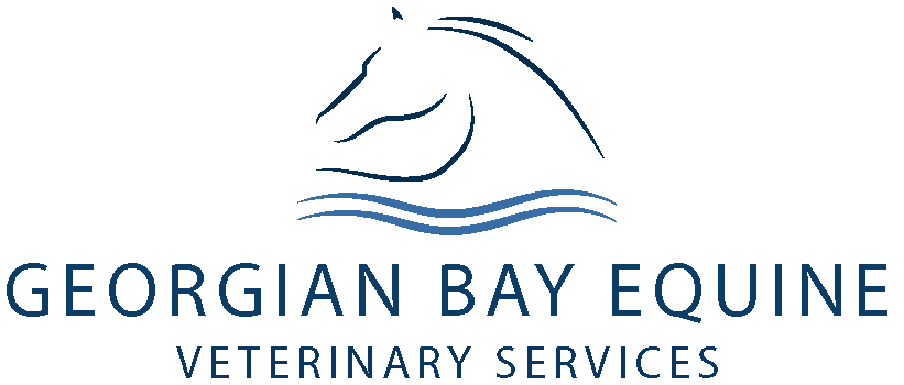 Georgian Bay Equine Veterinary Services