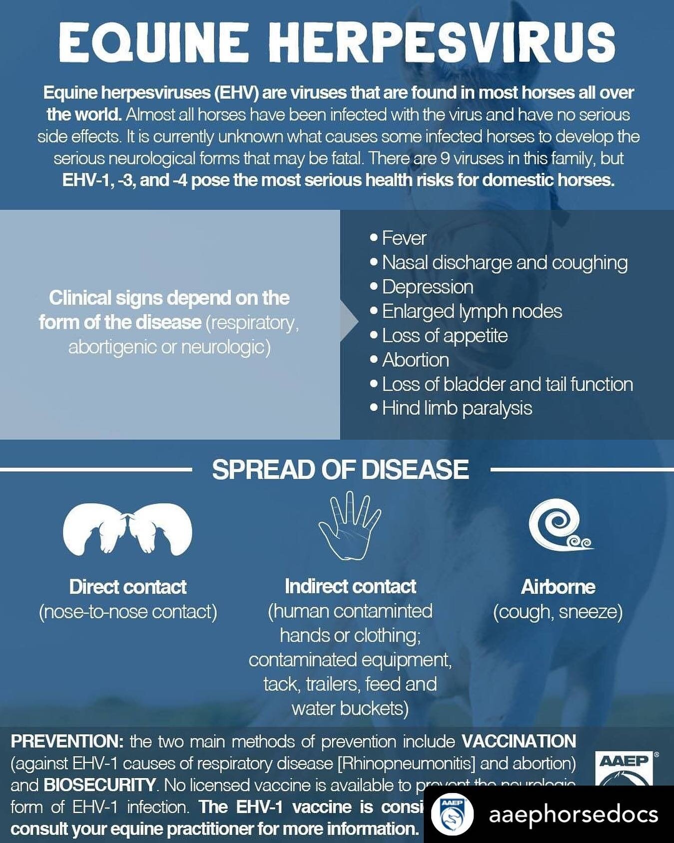 Posted @withregram &bull; @aaephorsedocs You may have read that Europe is currently dealing with the most serious Equine Herpes Virus (EHV) outbreak in decades. Effective March 1, @fei_global has cancelled international events in 10 countries on the 