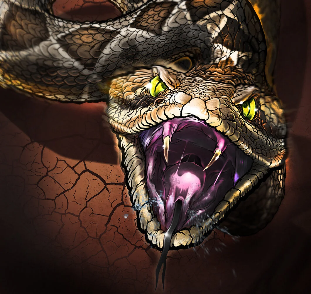 PJW rattler re-draw 1 30 18 copy 2DETAIL copy.jpg