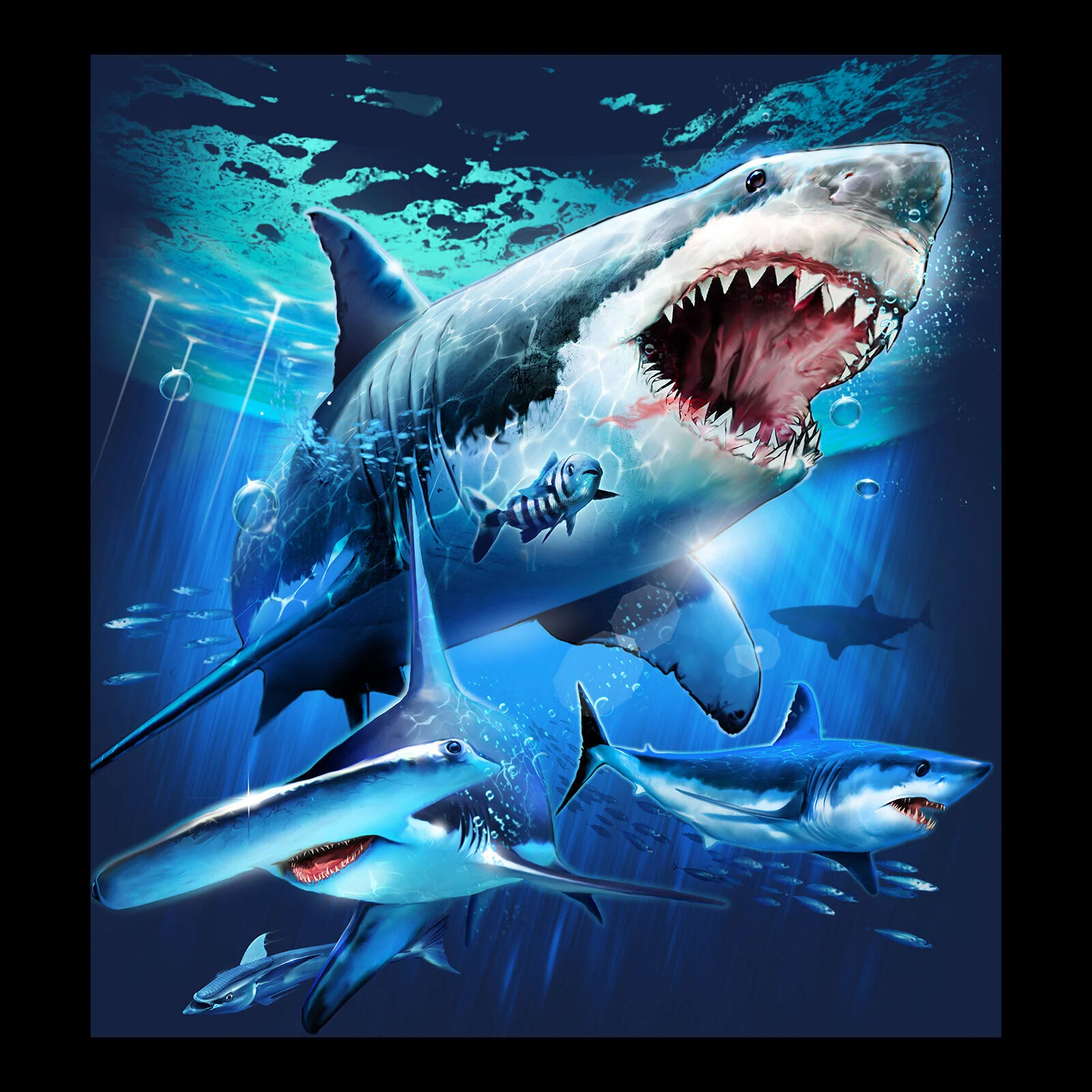 SHARKS 4 5 18.jpg