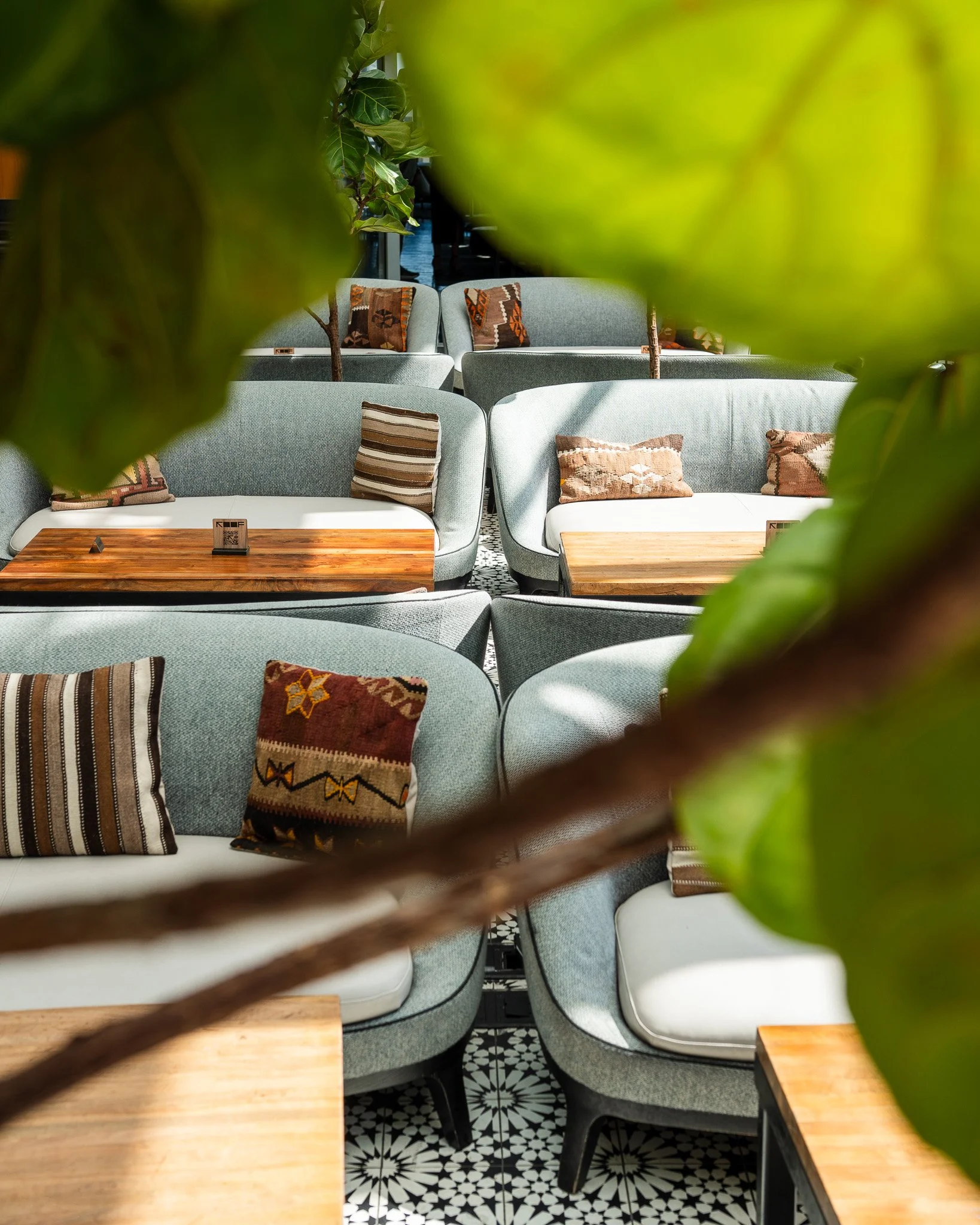 The Wit Jul'25_186 (1).jpg