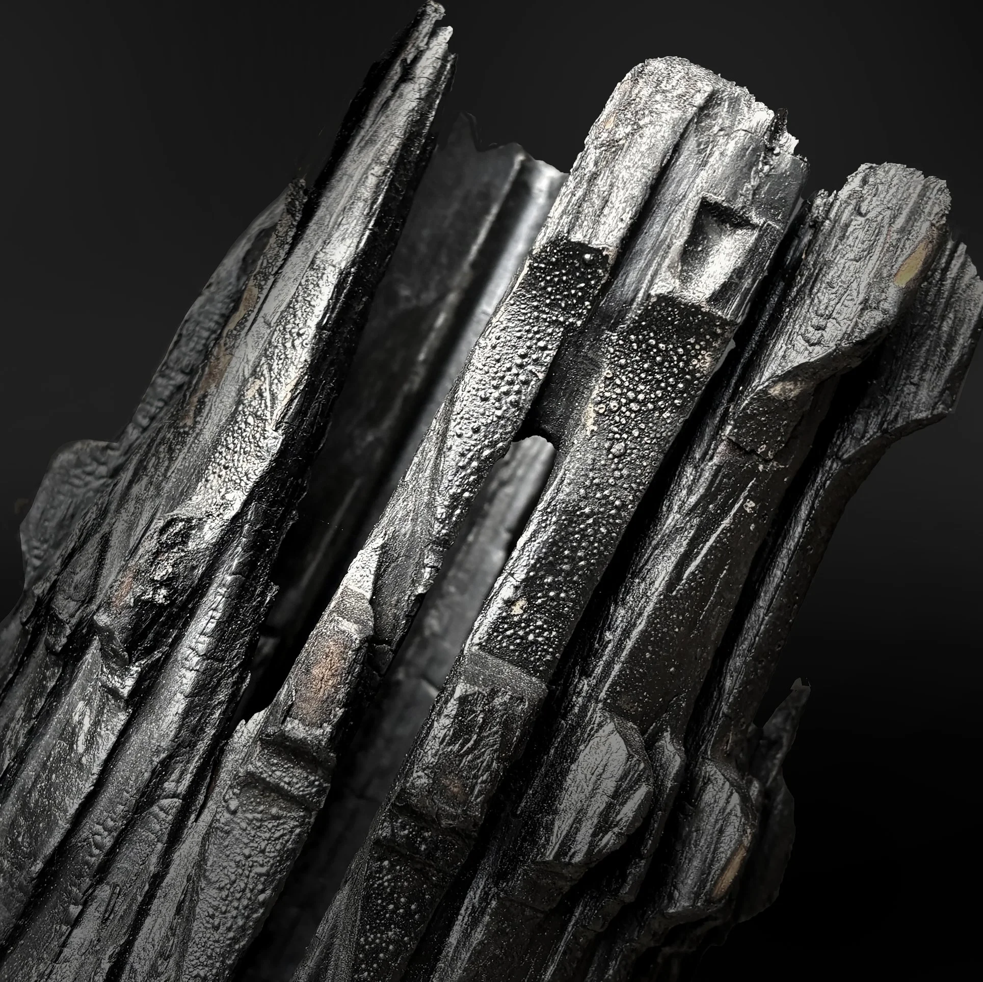 Raven_Banded_Detail_A_WEB.jpg