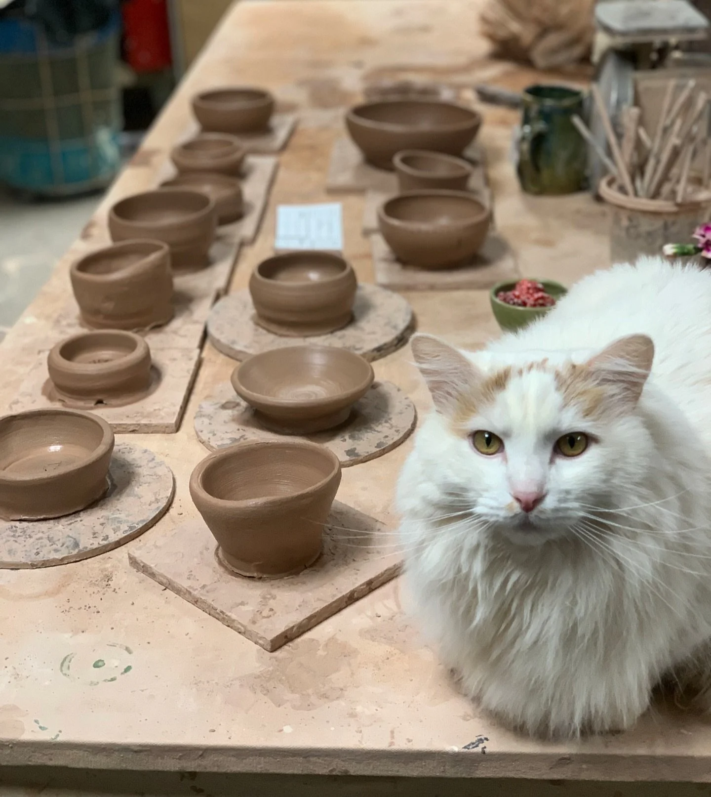 Studio supervisor Merlin making sure the first-time potters did everything just right 🐾 🐈&zwj;⬛ ✨