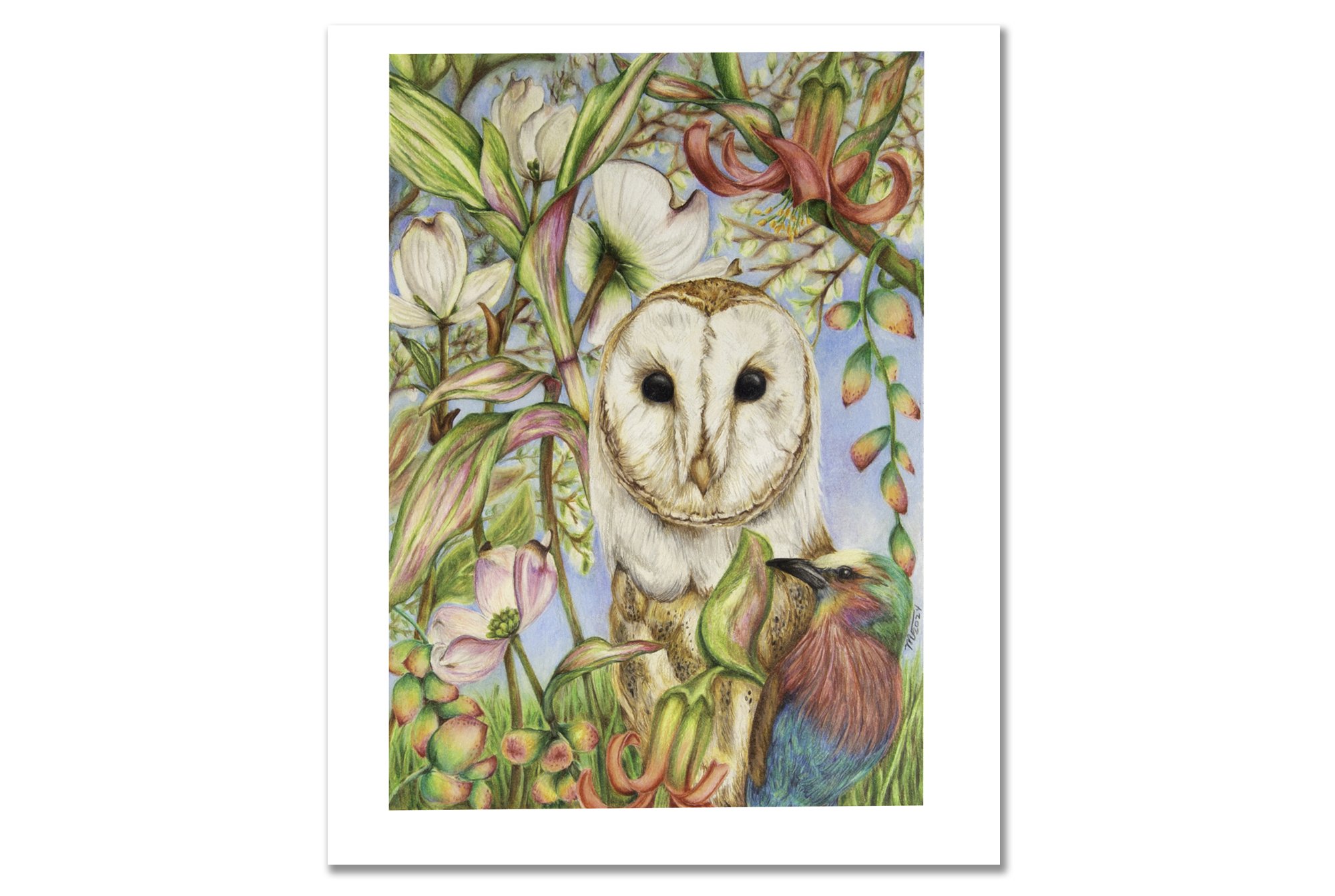 spring owl no title.jpg