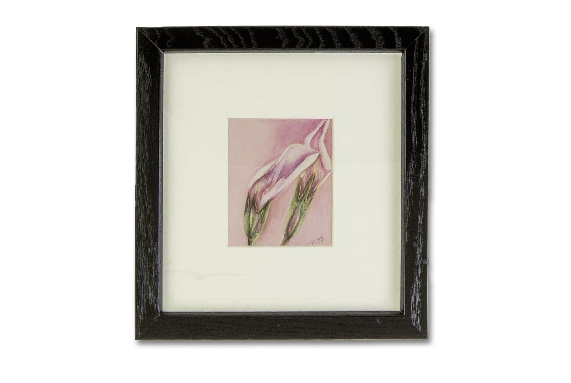 Pink Clover Petals