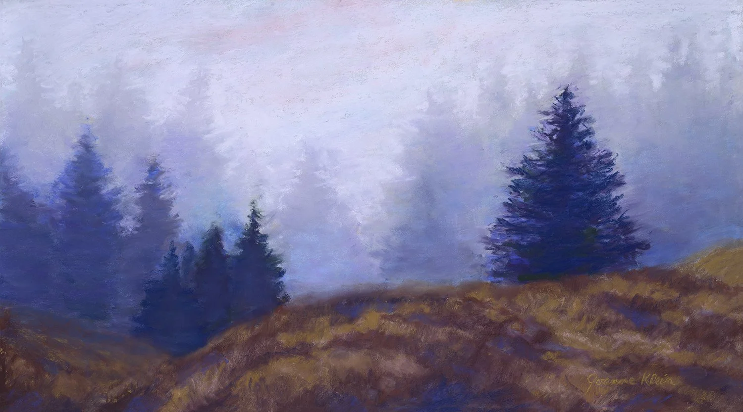 Trees in the Mist - Kodiak, Alaska