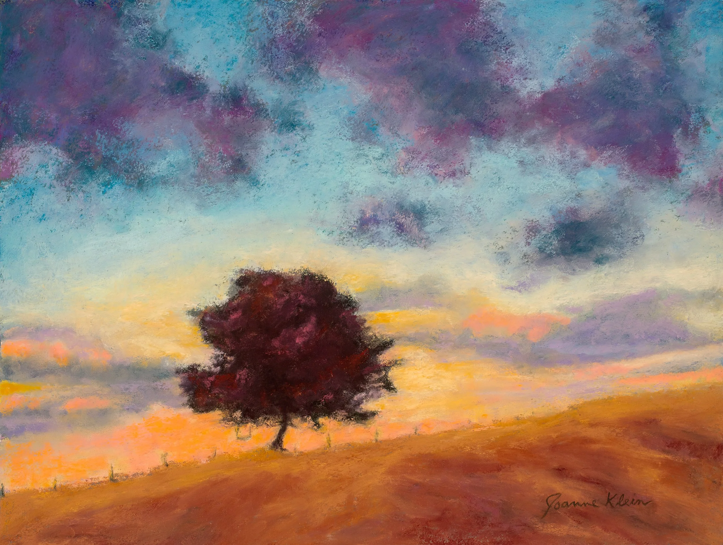 Lone Tree - Central Valley, California
