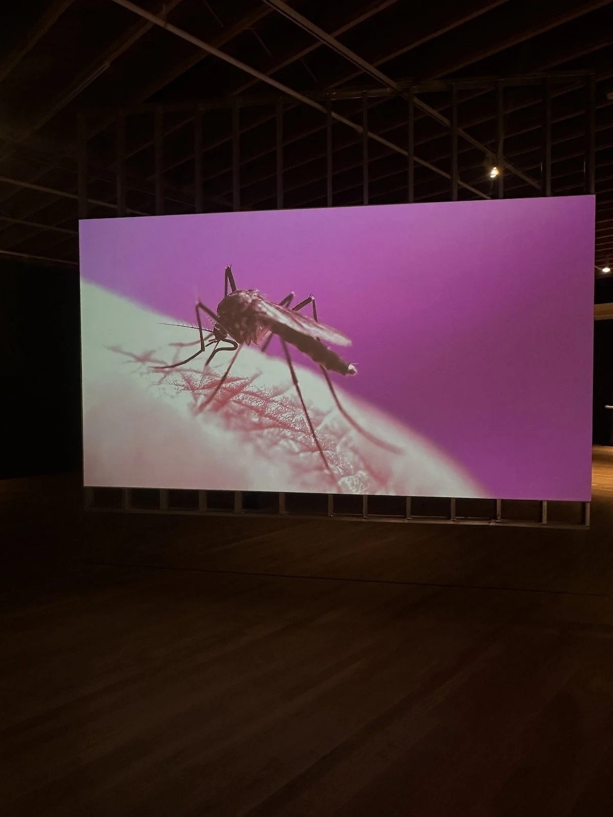 MediaLive: Data Rich, Dirt Poor — DARIA: Denver Art Review, Inquiry ...